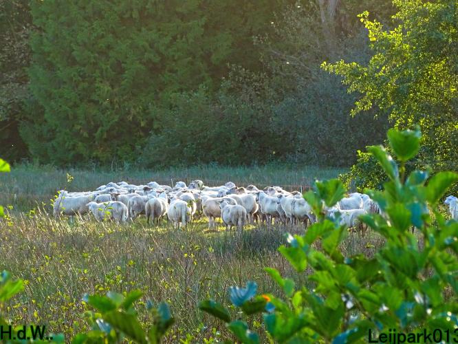 Leijpark013  12 &amp; 13 &amp; 14 &amp; 15 oktober 2023 