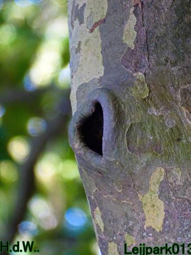 Leijpark013  12 &amp; 13 &amp; 14 &amp; 15 oktober 2023 