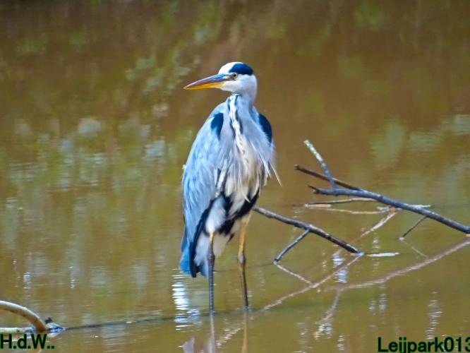 Leijpark013  12 &amp; 13 &amp; 14 &amp; 15 oktober 2023 