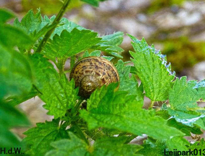 Leijpark013  12 &amp; 13 &amp; 14 &amp; 15 oktober 2023 