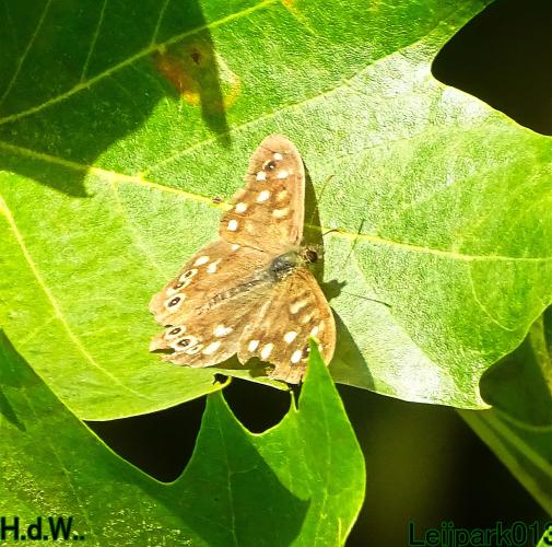 Leijpark013  12 &amp; 13 &amp; 14 &amp; 15 oktober 2023 