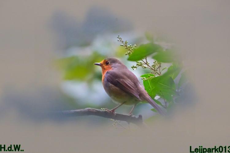 Leijpark013  12 &amp; 13 &amp; 14 &amp; 15 oktober 2023 