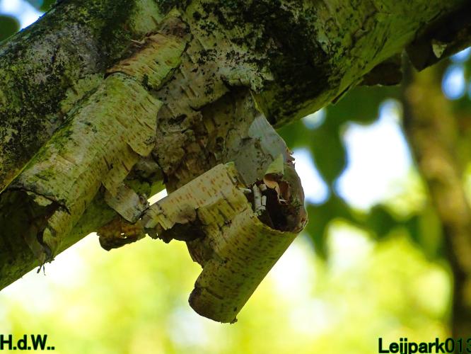 Leijpark013  12 &amp; 13 &amp; 14 &amp; 15 oktober 2023 