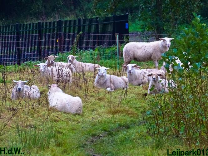 Leijpark013  12 &amp; 13 &amp; 14 &amp; 15 oktober 2023 