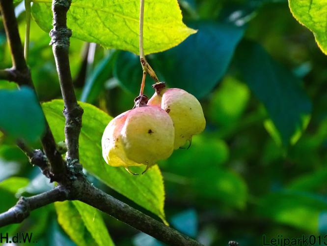 Leijpark013  12 &amp; 13 &amp; 14 &amp; 15 oktober 2023 