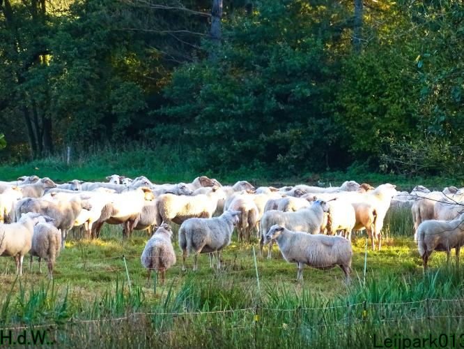 Leijpark013  12 &amp; 13 &amp; 14 &amp; 15 oktober 2023 