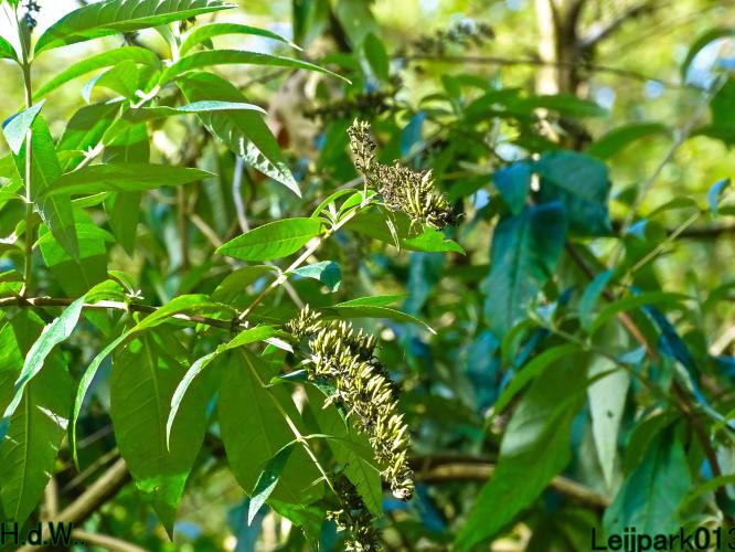 Leijpark013  12 &amp; 13 &amp; 14 &amp; 15 oktober 2023 