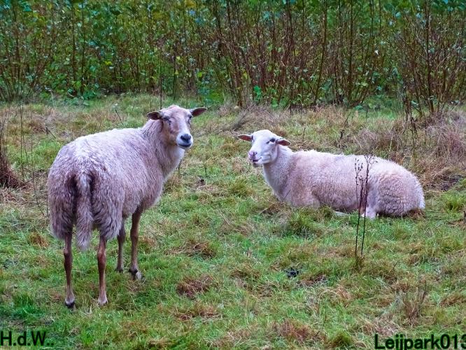 Leijpark013  12 &amp; 13 &amp; 14 &amp; 15 oktober 2023 