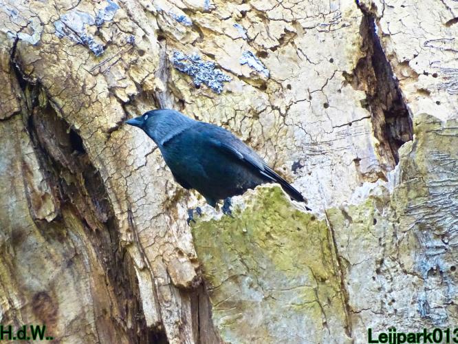 Leijpark013  12 &amp; 13 &amp; 14 &amp; 15 oktober 2023 