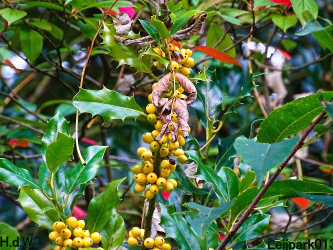 Leijpark013  12 &amp; 13 &amp; 14 &amp; 15 oktober 2023 