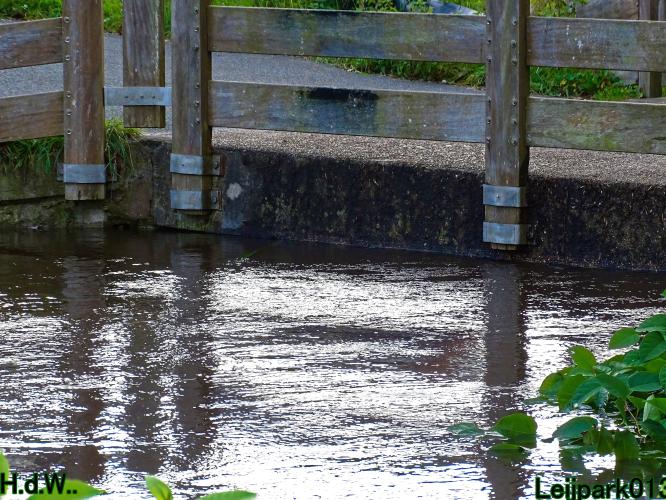 Leijpark013 20 &amp; 21 &amp; 22 &amp; 23 Oktober 2023 Hoogwater 