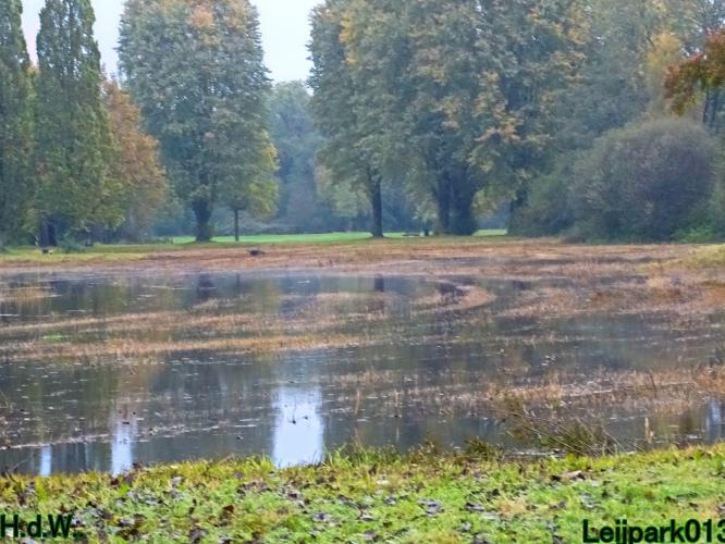 Leijpark013 20 &amp; 21 &amp; 22 &amp; 23 Oktober 2023 Hoogwater 