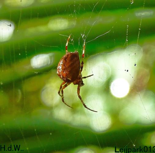 Leijpark013 20 &amp; 21 &amp; 22 &amp; 23 Oktober 2023 Hoogwater 