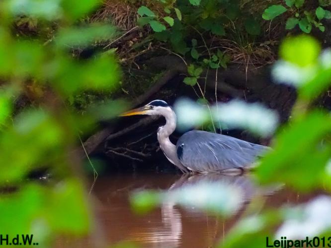 Leijpark013 20 &amp; 21 &amp; 22 &amp; 23 Oktober 2023 Hoogwater 