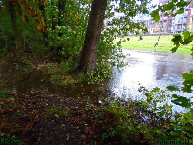 Leijpark013 20 &amp; 21 &amp; 22 &amp; 23 Oktober 2023 Hoogwater 