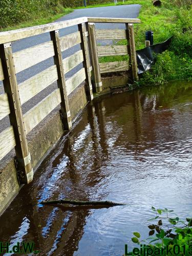 Leijpark013 20 &amp; 21 &amp; 22 &amp; 23 Oktober 2023 Hoogwater 