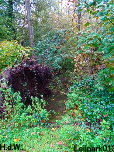 Leijpark013 20 &amp; 21 &amp; 22 &amp; 23 Oktober 2023 Hoogwater 