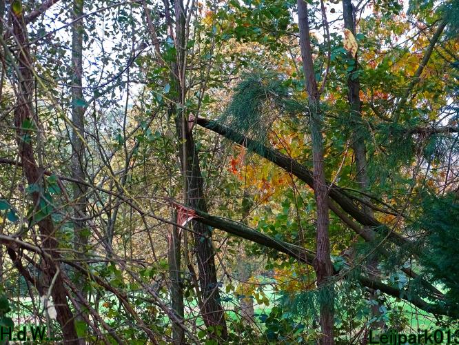 Leijpark013 3 november 2023 Storm Ciarán