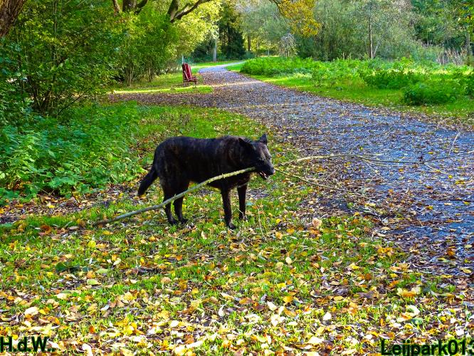 Leijpark013 8 november 2023 Beestenboel 