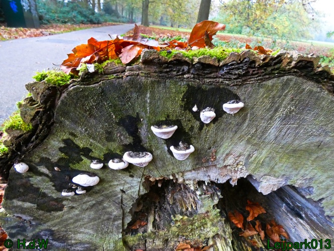 10 &amp; 11 &amp; 12 &amp; 13 november 2024