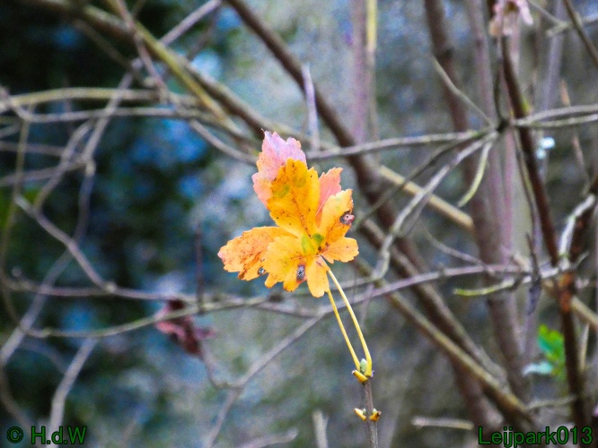 20 &amp; 21 &amp; 22 &amp; 23 december 2024