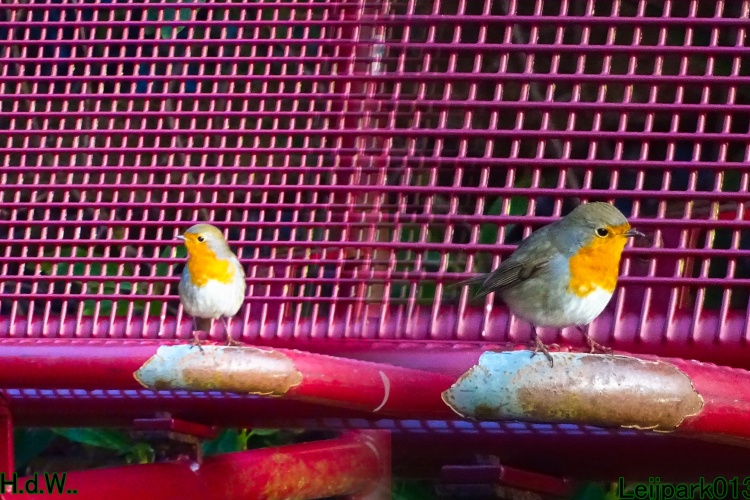 Leijpark013 3 &amp; 4 &amp; 5 &amp; 6 december 2023