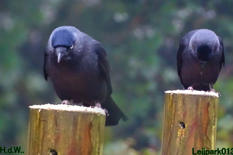 Leijpark013 3 &amp; 4 &amp; 5 &amp; 6 december 2023