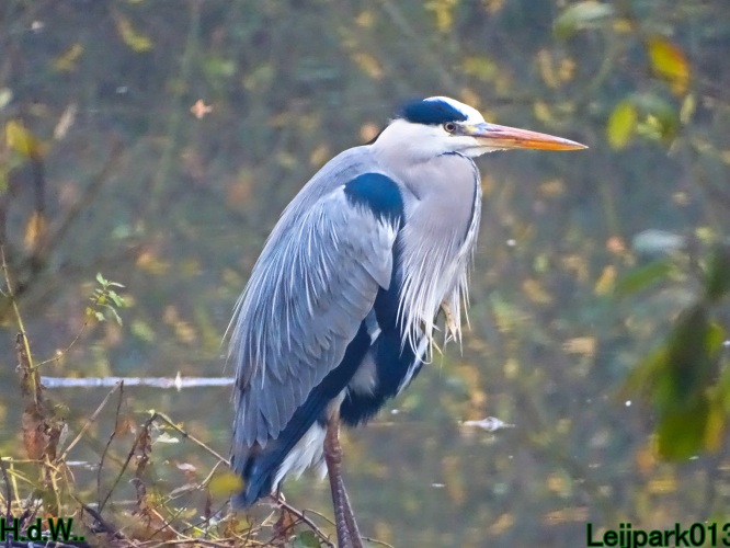 Leijpark013 3 &amp; 4 &amp; 5 &amp; 6 december 2023