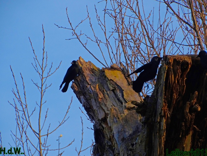 Leijpark013 3 &amp; 4 &amp; 5 &amp; 6 december 2023