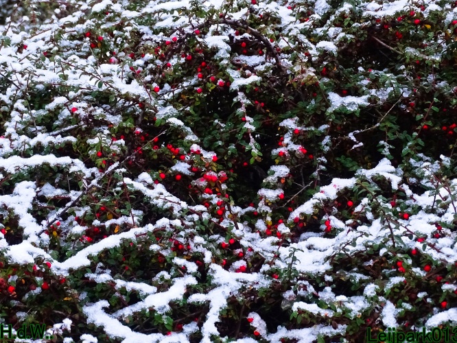 Leijpark013 3 &amp; 4 &amp; 5 &amp; 6 december 2023