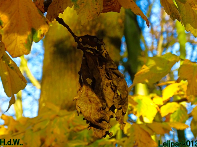 Leijpark013 3 &amp; 4 &amp; 5 &amp; 6 december 2023