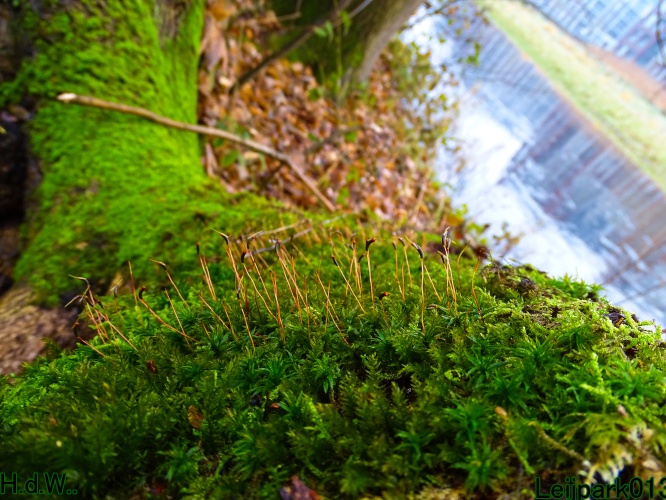 Leijpark013 3 &amp; 4 &amp; 5 &amp; 6 december 2023