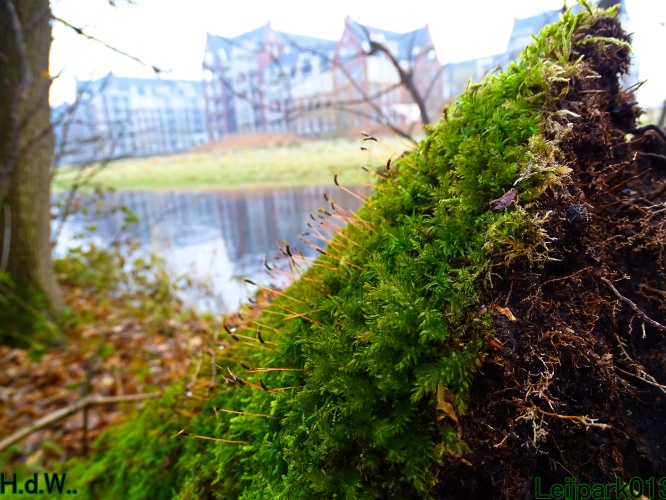 Leijpark013 3 &amp; 4 &amp; 5 &amp; 6 december 2023