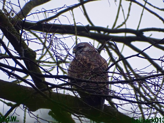 Leijpark013 3 &amp; 4 &amp; 5 &amp; 6 december 2023