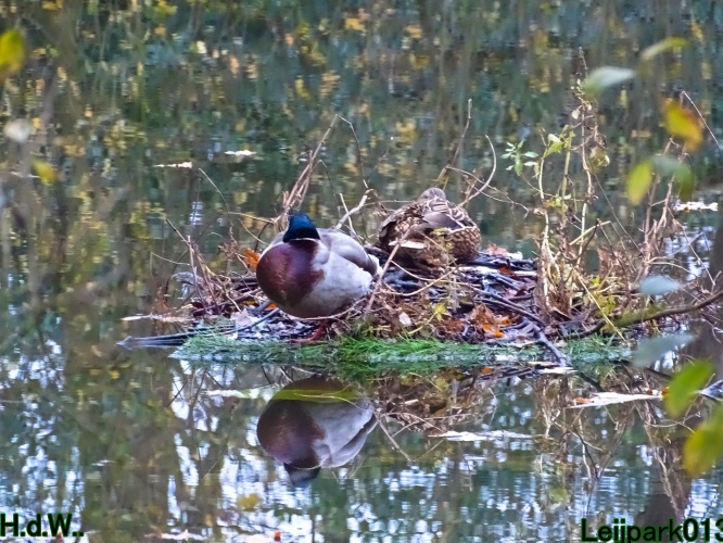 Leijpark013 3 &amp; 4 &amp; 5 &amp; 6 december 2023