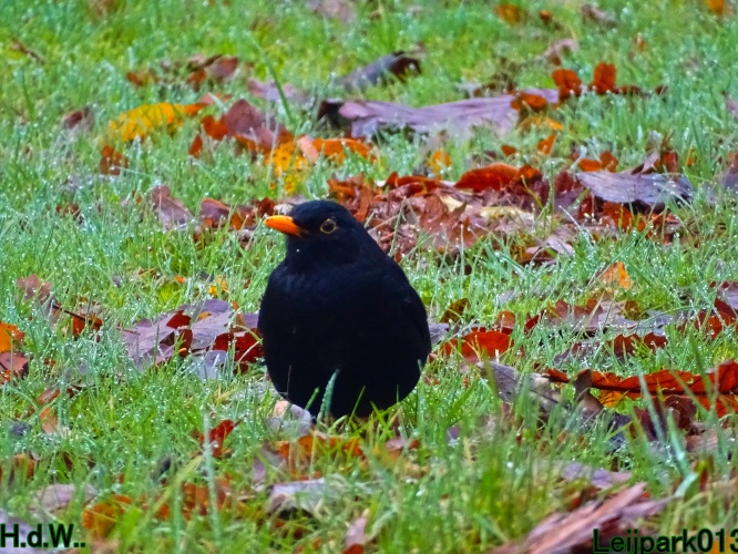 Leijpark013 3 &amp; 4 &amp; 5 &amp; 6 december 2023