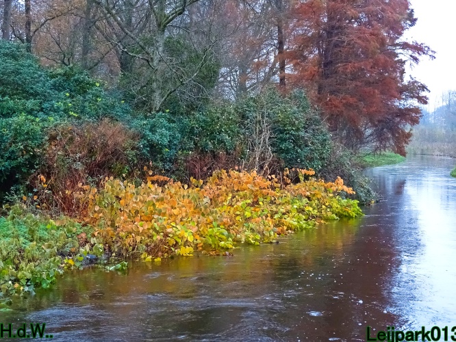 Leijpark013 3 &amp; 4 &amp; 5 &amp; 6 december 2023