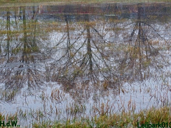 Leijpark013 3 &amp; 4 &amp; 5 &amp; 6 december 2023