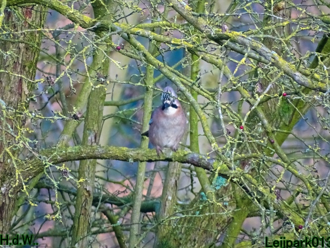 Leijpark013 3 &amp; 4 &amp; 5 &amp; 6 december 2023