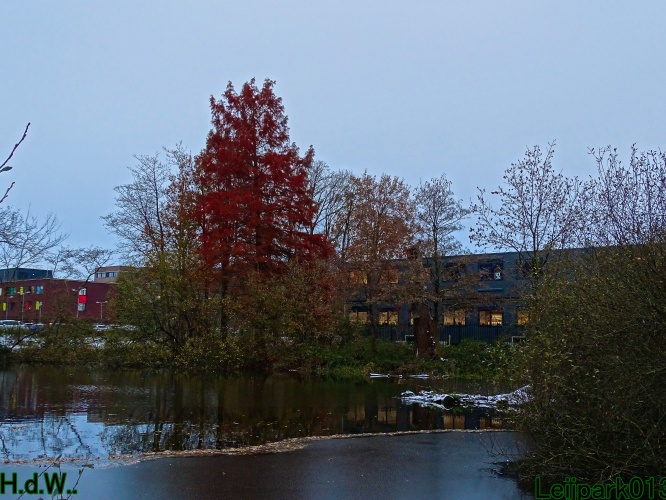 Leijpark013 3 &amp; 4 &amp; 5 &amp; 6 december 2023