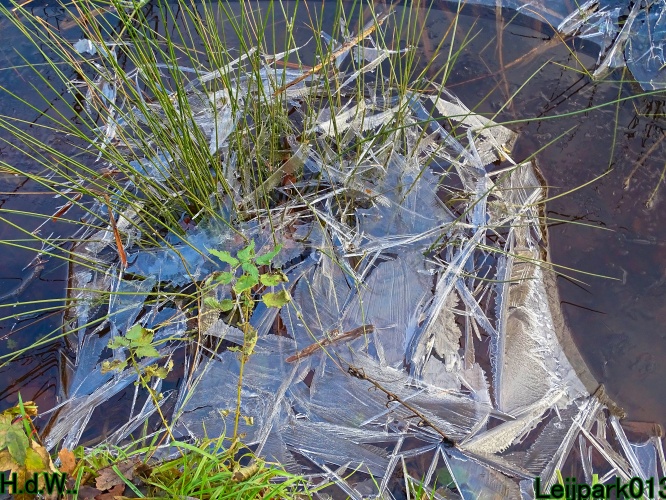 Leijpark013 3 &amp; 4 &amp; 5 &amp; 6 december 2023