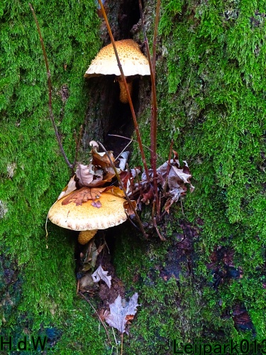 Leijpark013 3 &amp; 4 &amp; 5 &amp; 6 december 2023