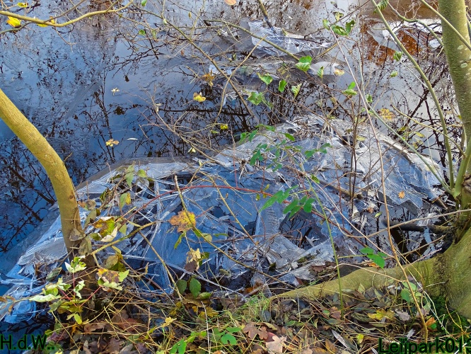 Leijpark013 3 &amp; 4 &amp; 5 &amp; 6 december 2023