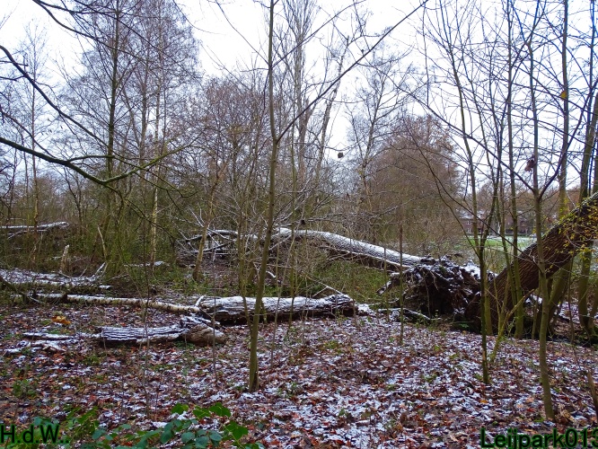 Leijpark013 3 &amp; 4 &amp; 5 &amp; 6 december 2023