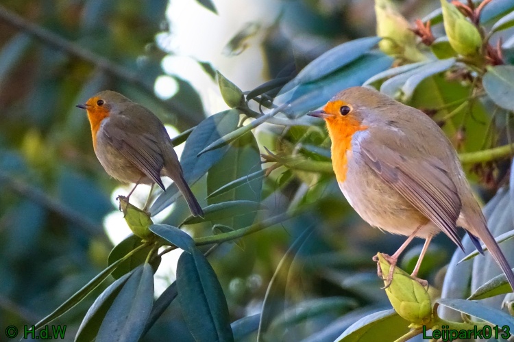 21 &amp; 22 &amp; 23 &amp; 24 juniari 2024