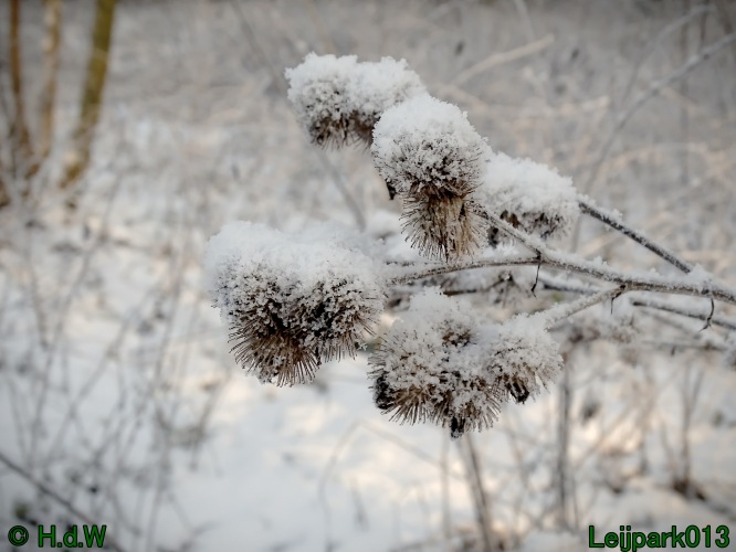 21 &amp; 22 &amp; 23 &amp; 24 juniari 2024