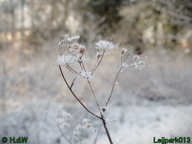 21 &amp; 22 &amp; 23 &amp; 24 juniari 2024