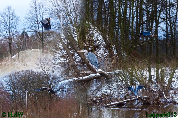 21 &amp; 22 &amp; 23 &amp; 24 juniari 2024