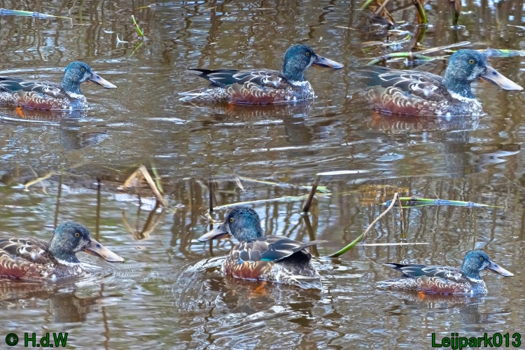 21 &amp; 22 &amp; 23 &amp; 24 juniari 2024