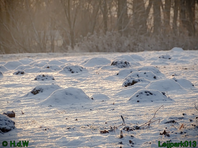 21 &amp; 22 &amp; 23 &amp; 24 juniari 2024